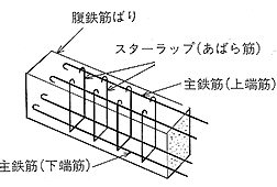 スターラップ（あばら筋）