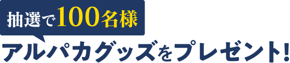 アルパカグッズをプレゼント